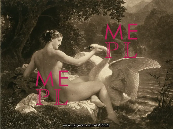 : Leda and the Swan : Leda and the Swan