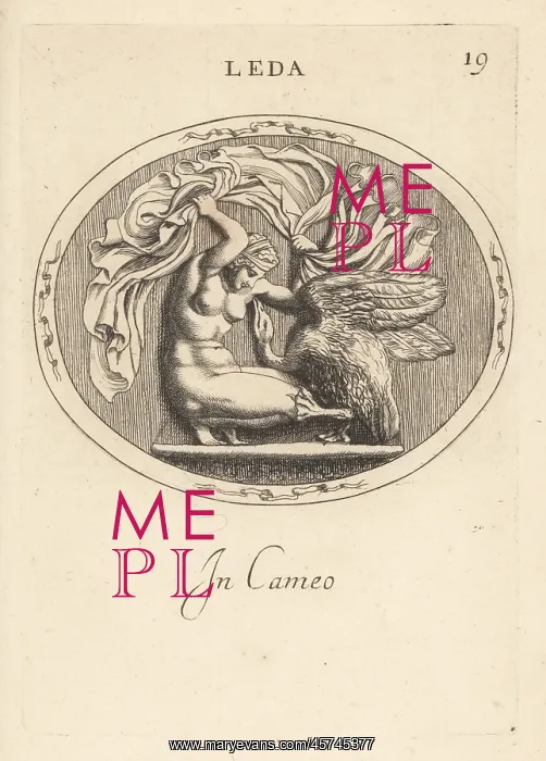 : Leda and the swan in cameo : Leda and the swan in cameo