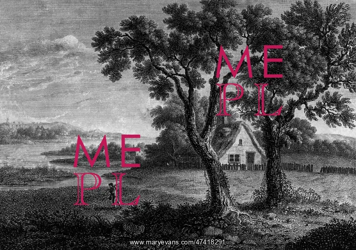  : LEE, Essex