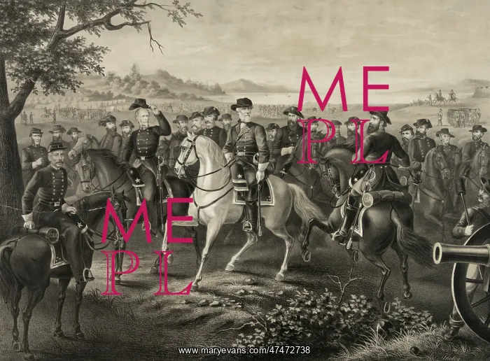 : Lee and his generals : Lee and his generals