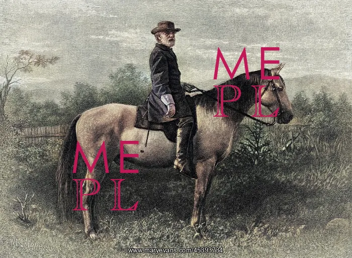 : LEE ON HIS HIGH HORSE : LEE ON HIS HIGH HORSE