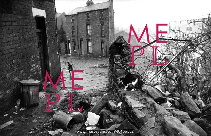 : LEEDS SLUMS : LEEDS SLUMS