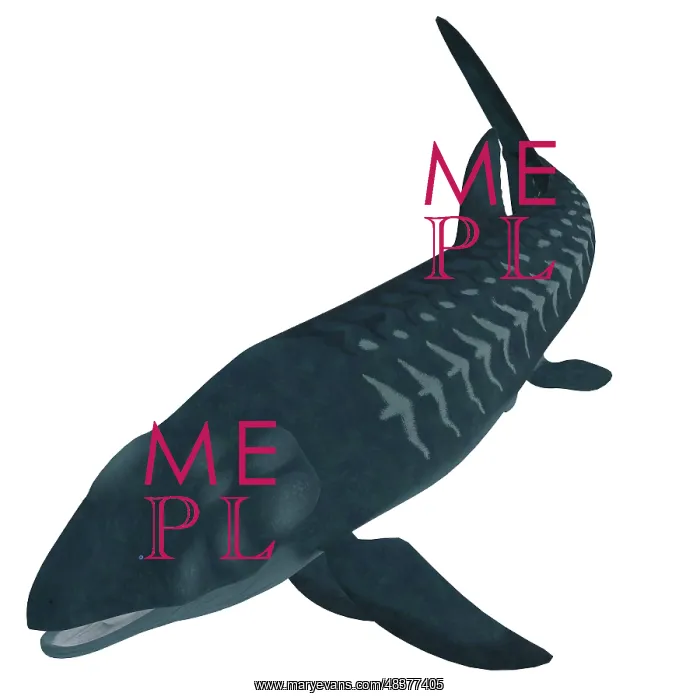 : Leedsichthys, an extinct bony fish from the Mesozoic Era : Leedsichthys, an extinct bony fish from the Mesozoic Era