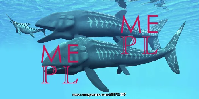 : Leedsichthys fish about to swallow an Ichthyosaurus marine ? : Leedsichthys fish about to swallow an Ichthyosaurus marine ?
