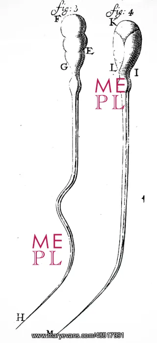 : Leeuwenhoek's observation of spermatozoa of a dog : Leeuwenhoek's observation of spermatozoa of a dog