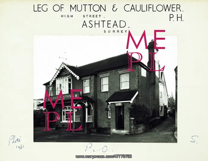 : Leg of Mutton & Cauliflower PH, Ashtead, Surrey : Leg of Mutton & Cauliflower PH, Ashtead, Surrey