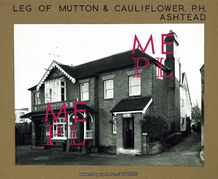 : Leg of Mutton & Cauliflower PH, Ashtead, Surrey : Leg of Mutton & Cauliflower PH, Ashtead, Surrey
