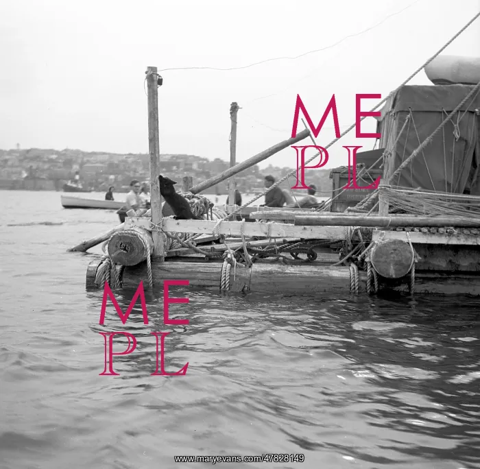 : L'egare II - North Atlantic expedition raft, at Falmouth : L'egare II - North Atlantic expedition raft, at Falmouth