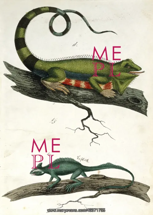 : leguan and basilisk : leguan and basilisk