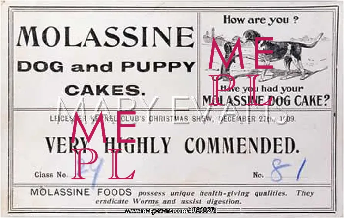 : LEICESTER K C PRIZE CARD : LEICESTER K C PRIZE CARD