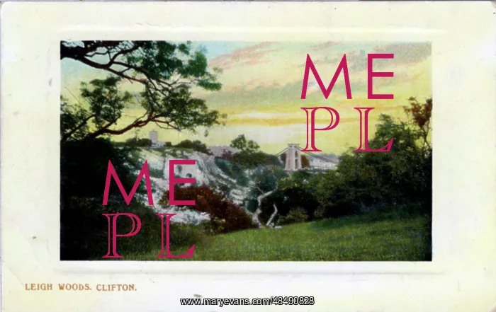 : Leigh Woods, Clifton, Bristol County : Leigh Woods, Clifton, Bristol County