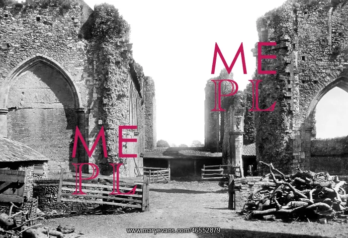  : Leiston, the Abbey 1894