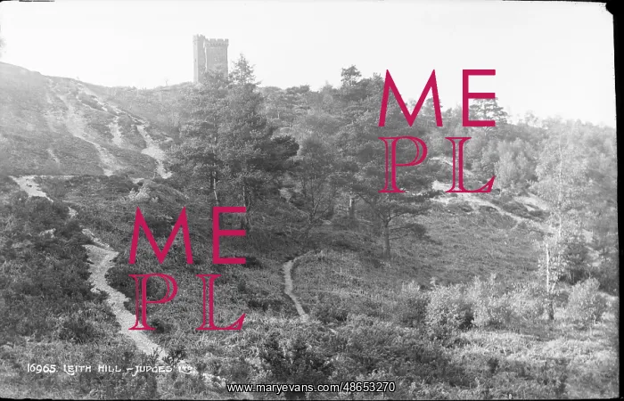 : Leith Hill Tower : Leith Hill Tower
