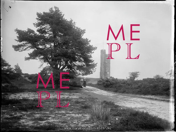 : Leith Hill Tower, Leith Hill, Wotton, Mole Valley, Surrey : Leith Hill Tower, Leith Hill, Wotton, Mole Valley, Surrey