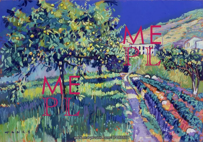 : Lemon Fields, Andalucia - with road & houses : Lemon Fields, Andalucia - with road & houses