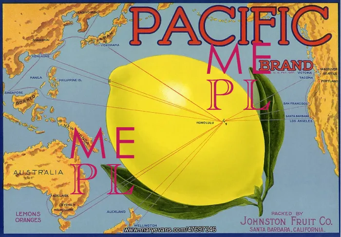  : Lemon Fruit Label