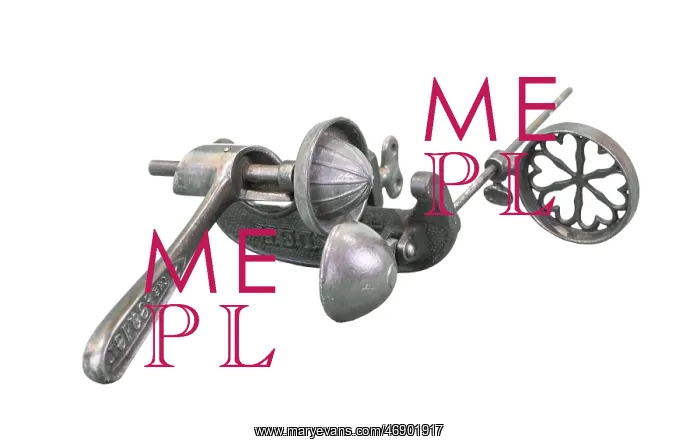  : Lemon Juicer