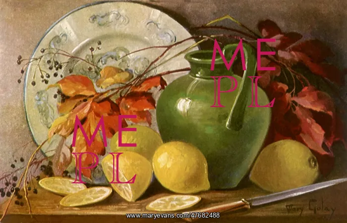 : Lemon Still Life : Lemon Still Life