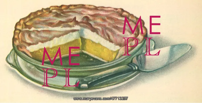 : Lemon Meringue Pie : Lemon Meringue Pie
