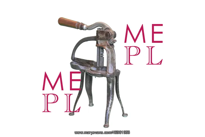  : Lemon Squeezer