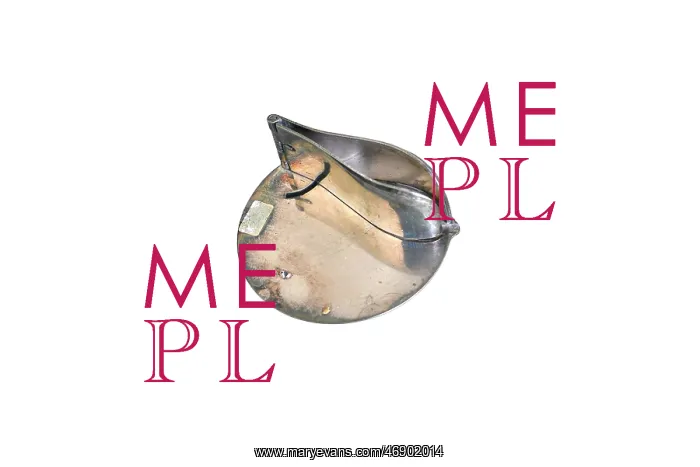  : Lemon Squeezer