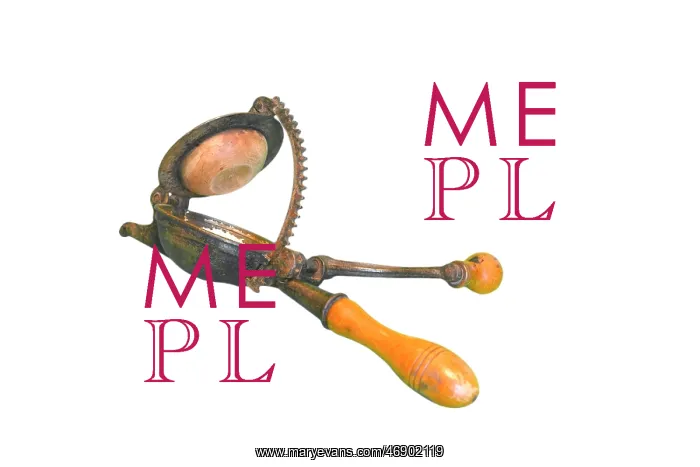 : Lemon Squeezer