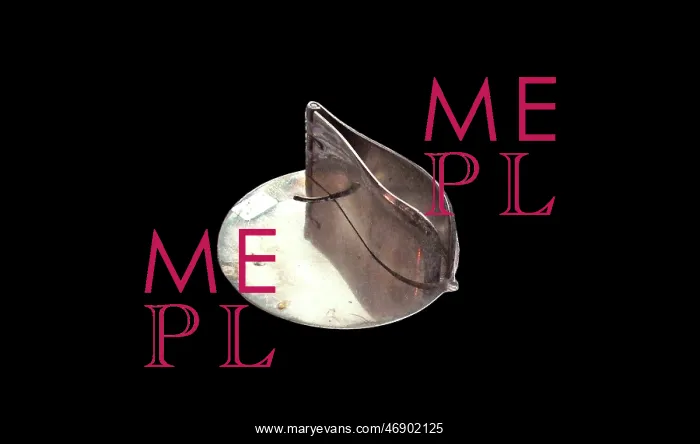  : Lemon Squeezer