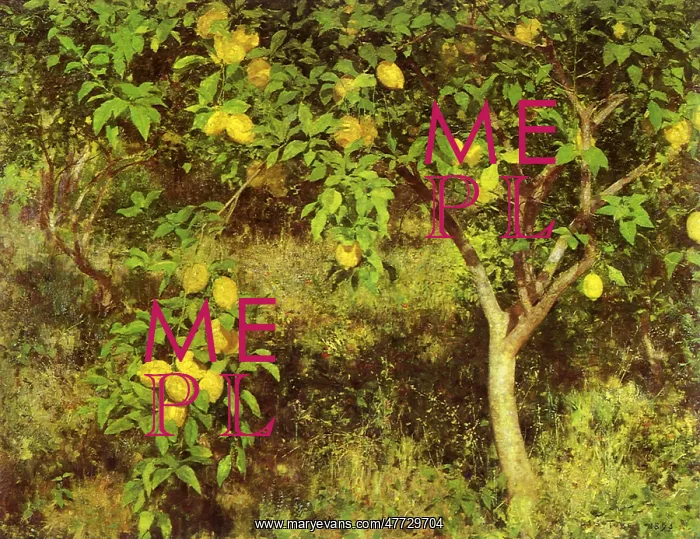  : The Lemon Tree