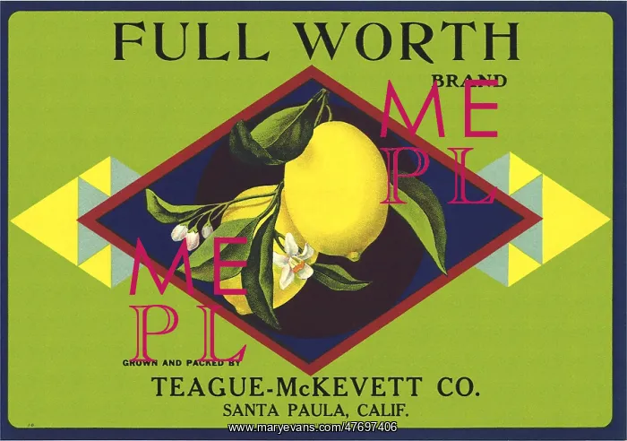  : Lemons with Flowers