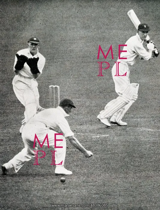 : Len Hutton cutting McCabe past Waite at the Oval : Len Hutton cutting McCabe past Waite at the Oval