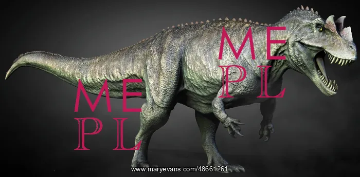 : Full length view of a Ceratosaurus dinosaur : Full length view of a Ceratosaurus dinosaur