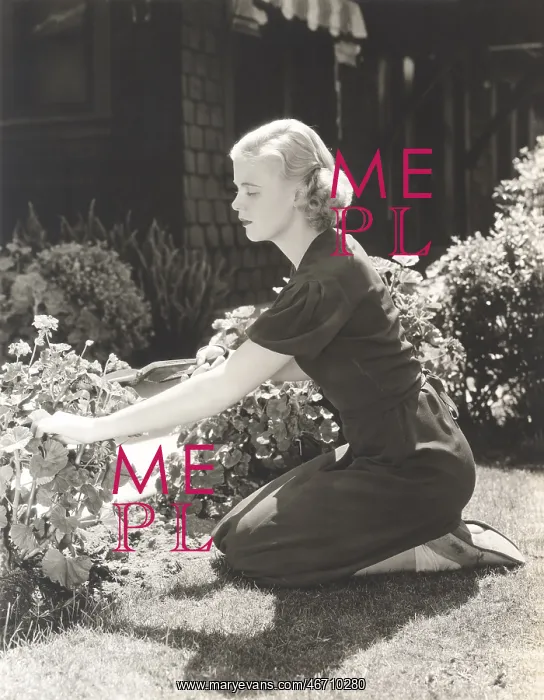 : Full length side view of young woman pruning plants : Full length side view of young woman pruning plants