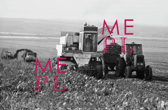 : Lenin collective farm : Lenin collective farm