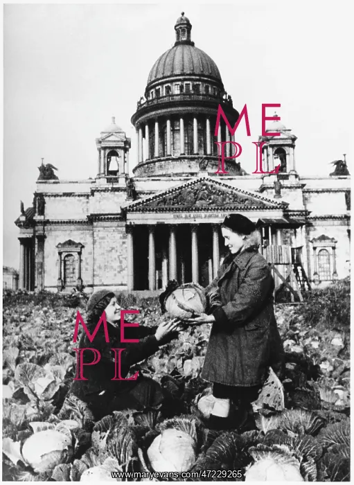 : LENINGRAD CABBAGES : LENINGRAD CABBAGES
