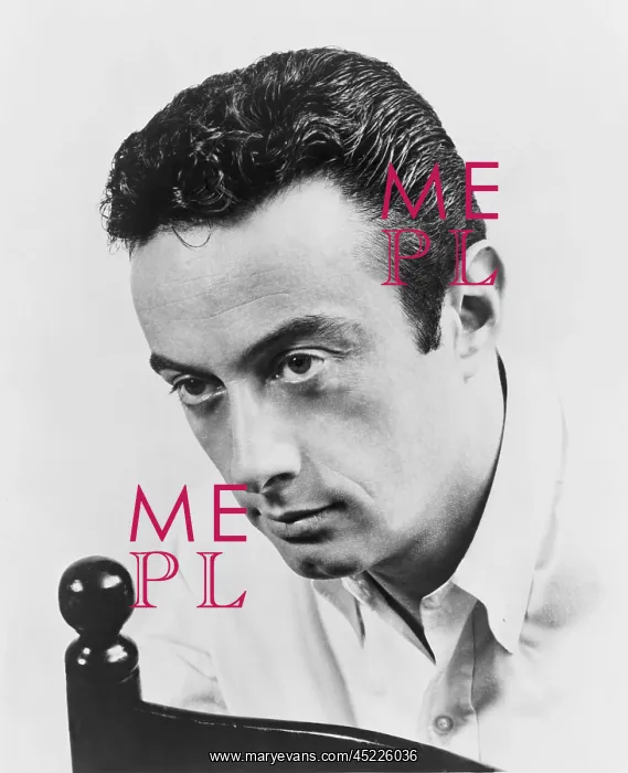 : Lenny Bruce (1925-1966), controversial standup ? : Lenny Bruce (1925-1966), controversial standup ?