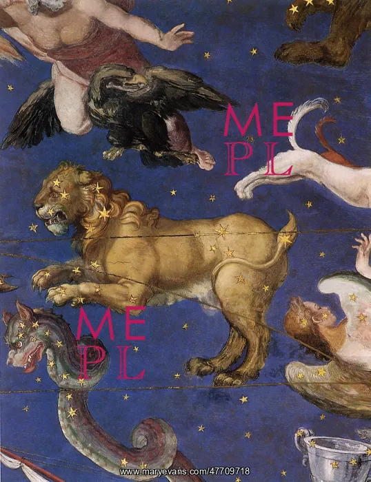 : Leo the Lion : Leo the Lion