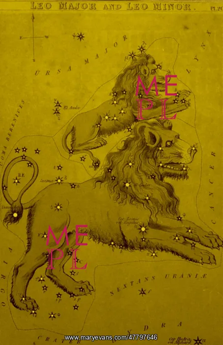 : Leo Major and Leo Minor, 19th Century : Leo Major and Leo Minor, 19th Century