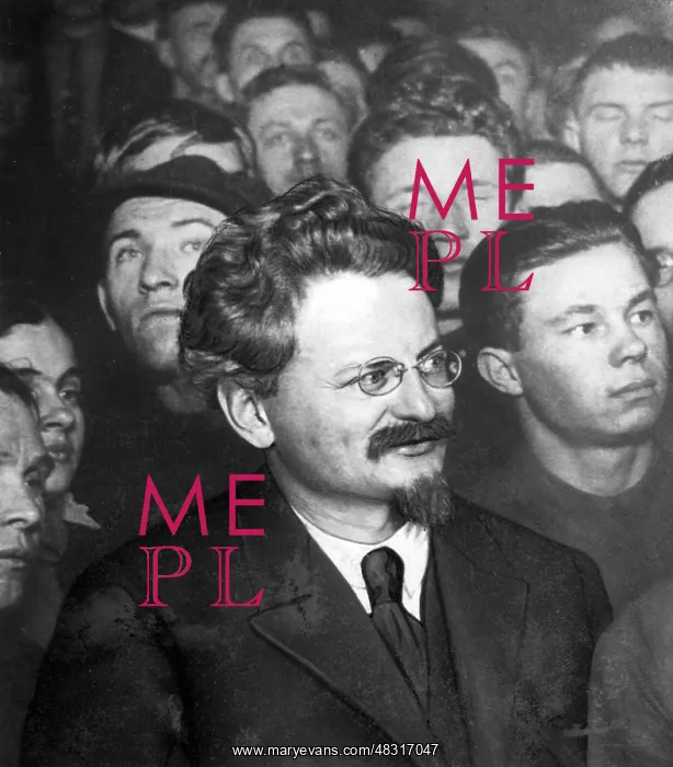 : Leon Trotsky, professional revolutionary : Leon Trotsky, professional revolutionary
