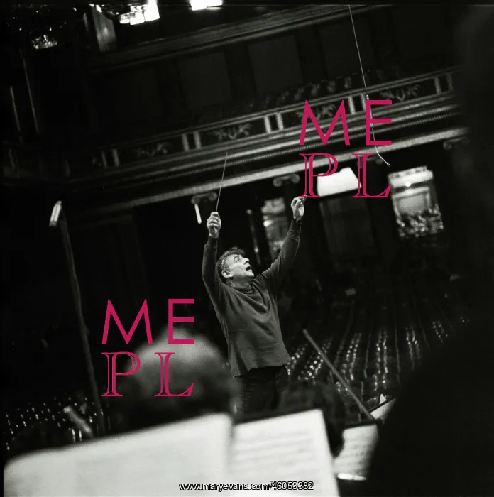 : Leonard Bernstein : Leonard Bernstein