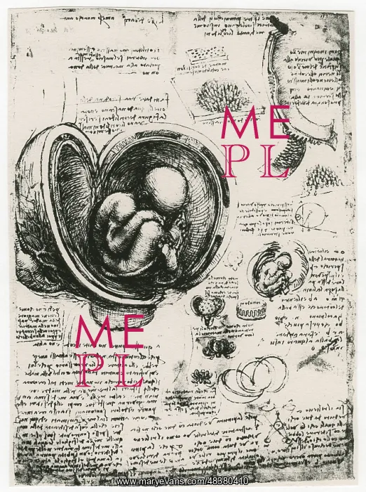 : Leonardo da Vinci (1452-1519) Italian painter : Leonardo da Vinci (1452-1519) Italian painter