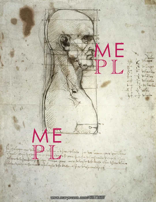: Leonardo da Vinci, anatomical study, head and shoulders : Leonardo da Vinci, anatomical study, head and shoulders