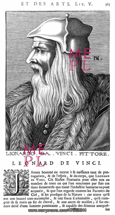 : Leonardo da Vinci, Italian Renaissance Polymath : Leonardo da Vinci, Italian Renaissance Polymath