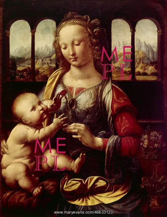 : Leonardo da Vinci, The Madonna of the Carnation : Leonardo da Vinci, The Madonna of the Carnation