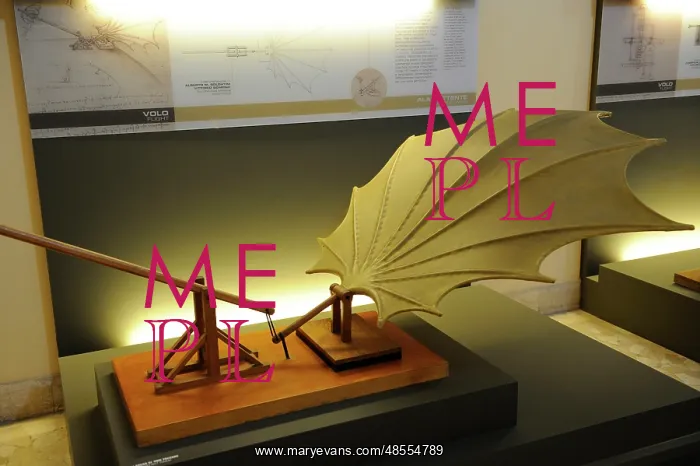 : Leonardo da Vinci, model of a beating wing : Leonardo da Vinci, model of a beating wing