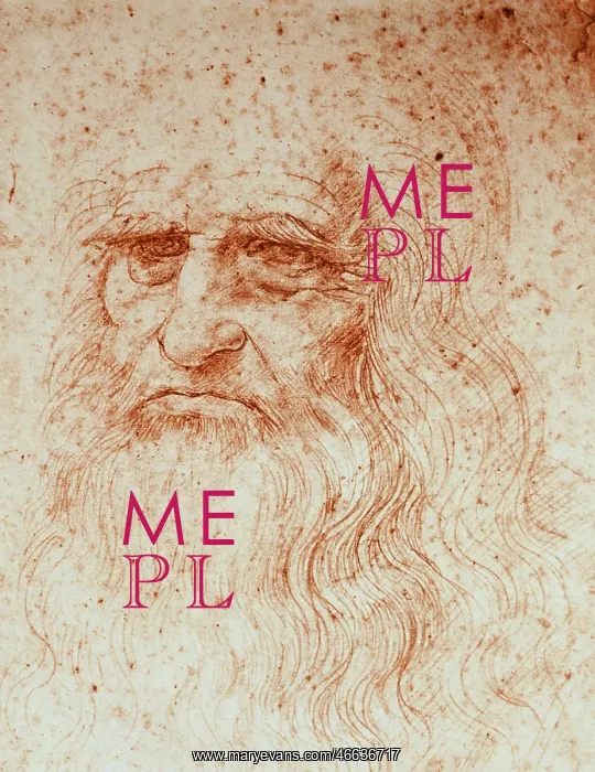 : Leonardo Da Vinci, self-portrait : Leonardo Da Vinci, self-portrait