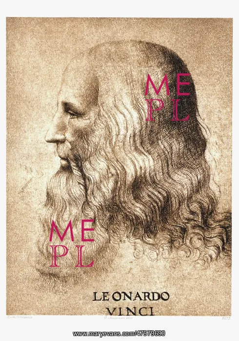  : Leonardo da Vinci, self-portrait