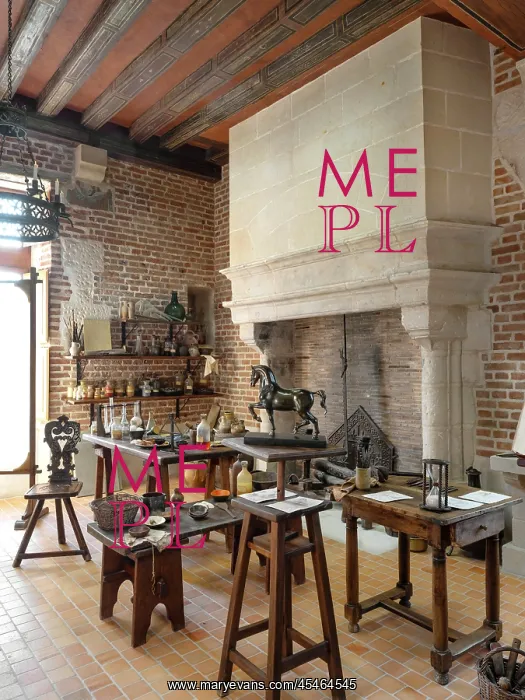  : Leonardo da Vinci workshops, Chateau du Clos Luce, Amboise