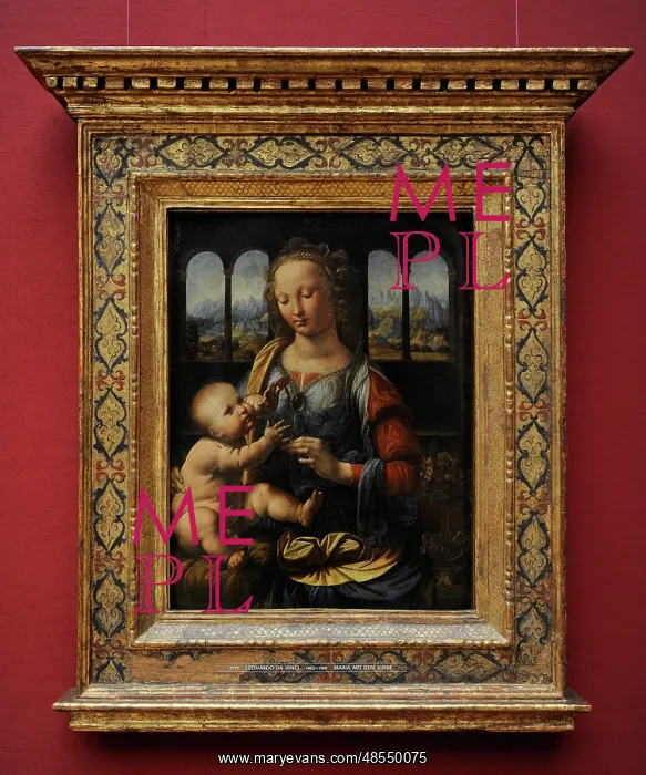 : Leonardo da Vincis The Madonna of the Carnation : Leonardo da Vincis The Madonna of the Carnation