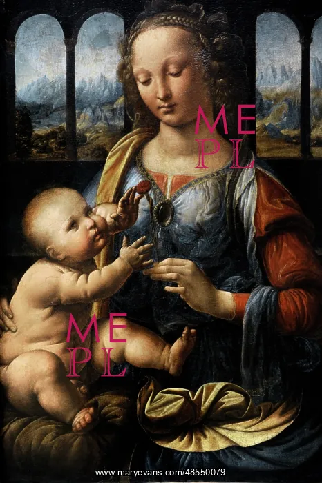 : Leonardo da Vincis The Madonna of the Carnation : Leonardo da Vincis The Madonna of the Carnation