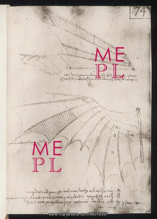  : Leonardo Wings